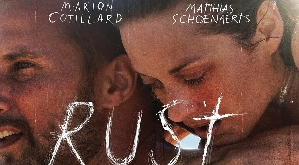 Images of Rust And Bone | 594x329