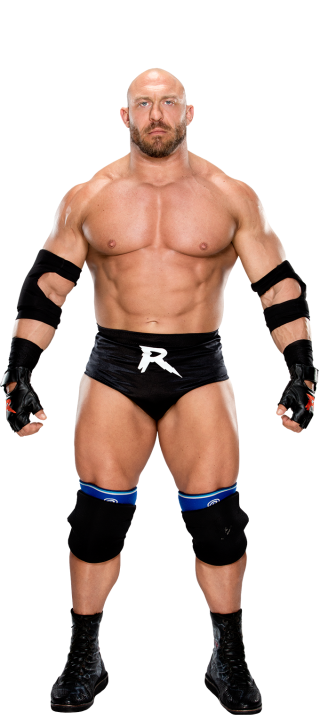 Ryback Backgrounds, Compatible - PC, Mobile, Gadgets| 320x728 px