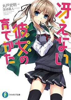 HD Quality Wallpaper | Collection: Anime, 230x324 Saekano: How To Raise A Boring Girlfriend