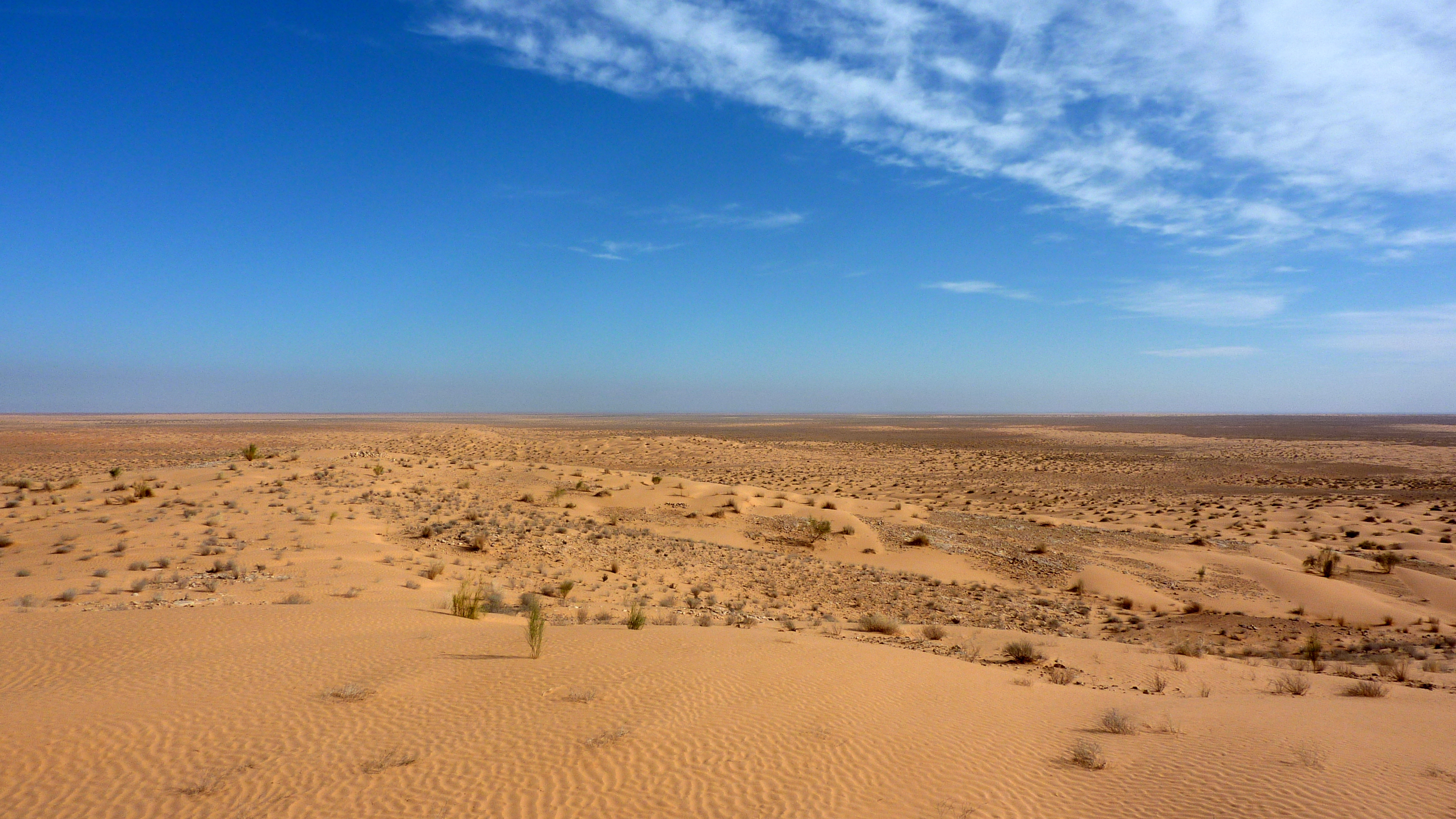 Sahara Pics, Multi Monitor Collection
