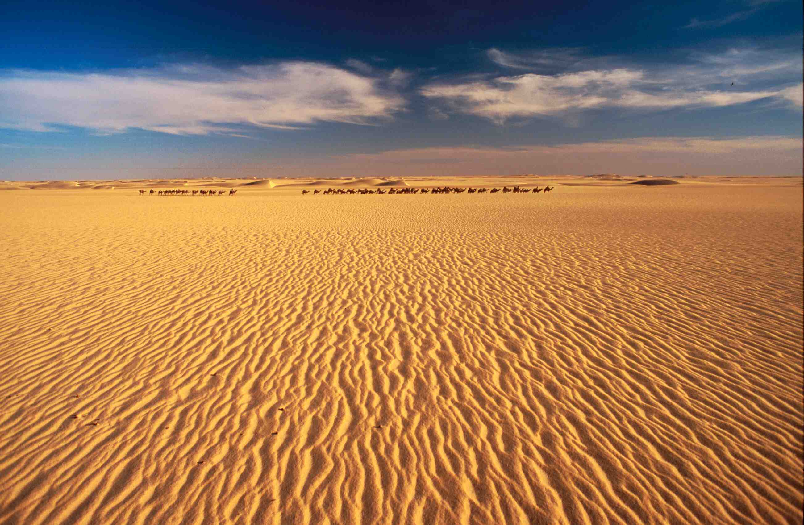 Nice Images Collection: Sahara Desktop Wallpapers