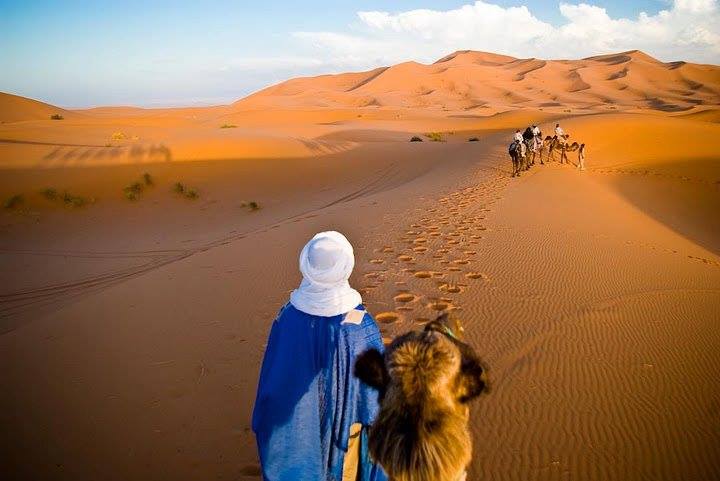 Images of Sahara | 720x481