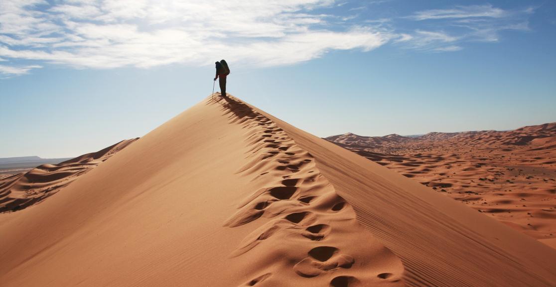 Images of Sahara | 1116x576