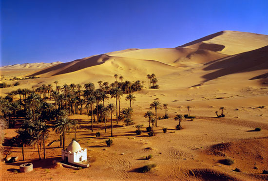 Sahara #13