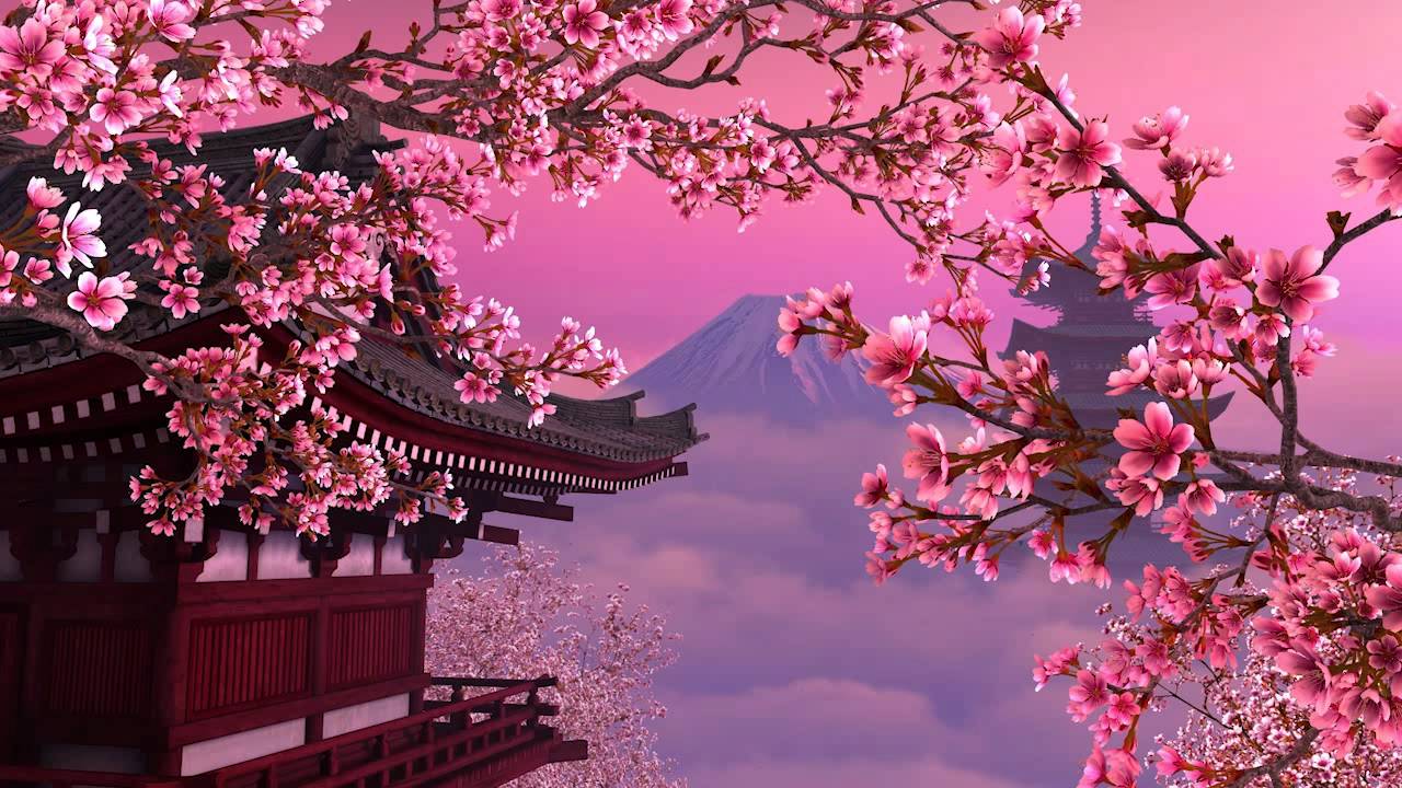 Sakura Pics, Anime Collection