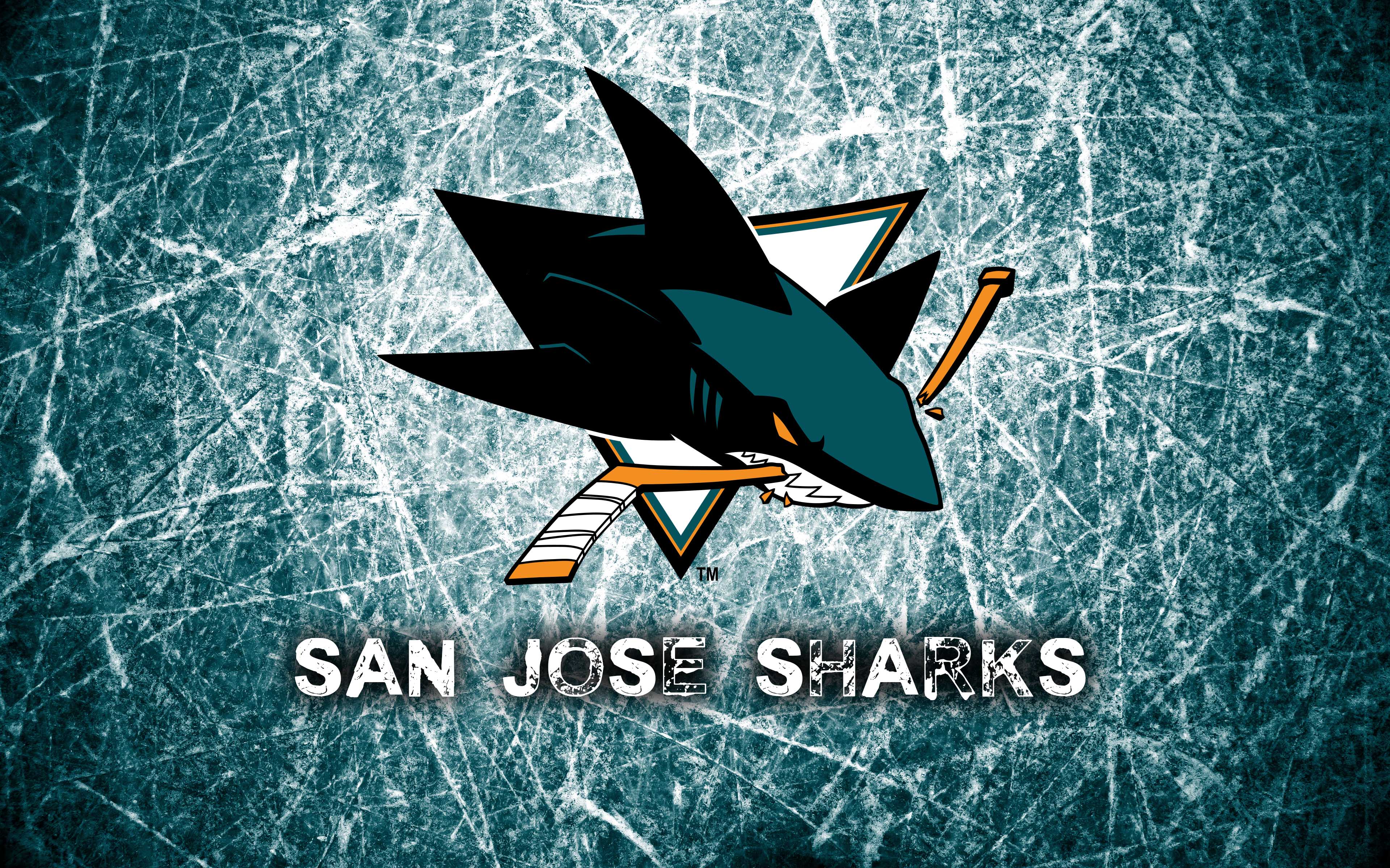 San Jose Sharks #9