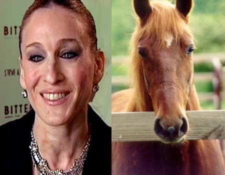 Sarah Jessica Parker High Quality Background on Wallpapers Vista