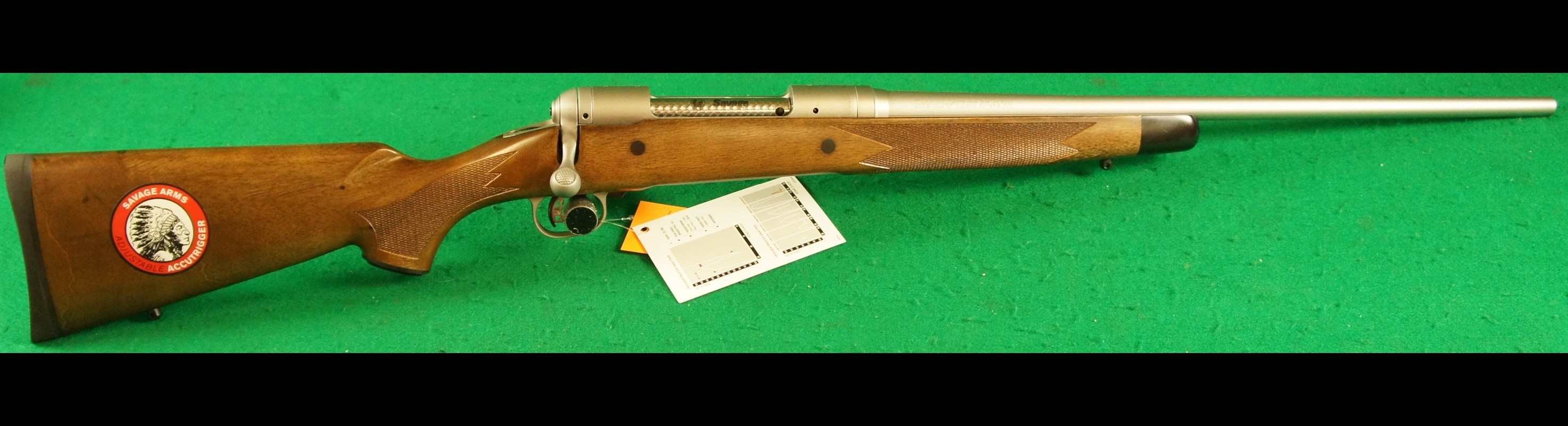 Savage 116 Rifle #1
