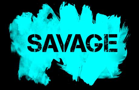 Savage Pics, Comics Collection