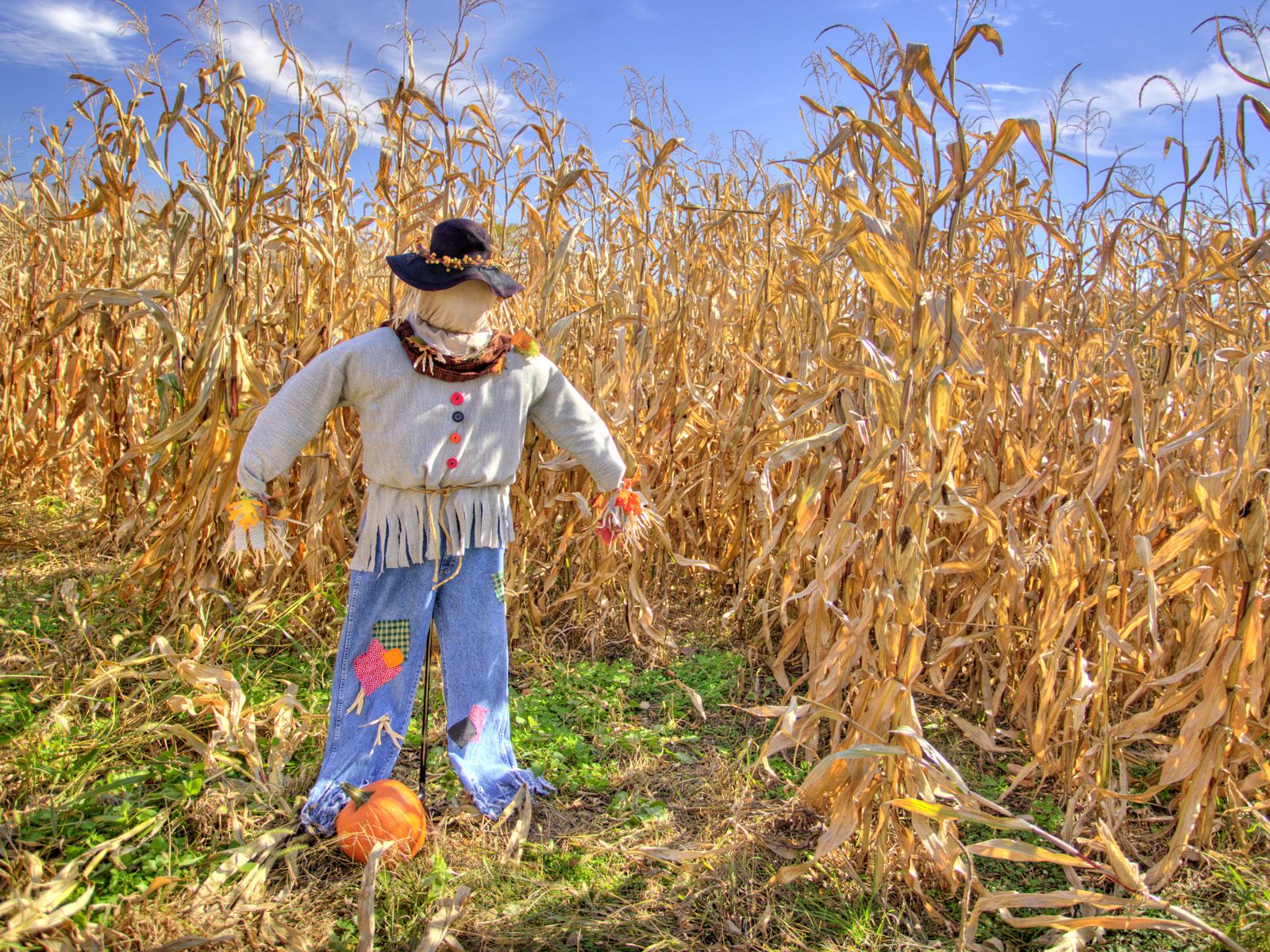 Scarecrow #22