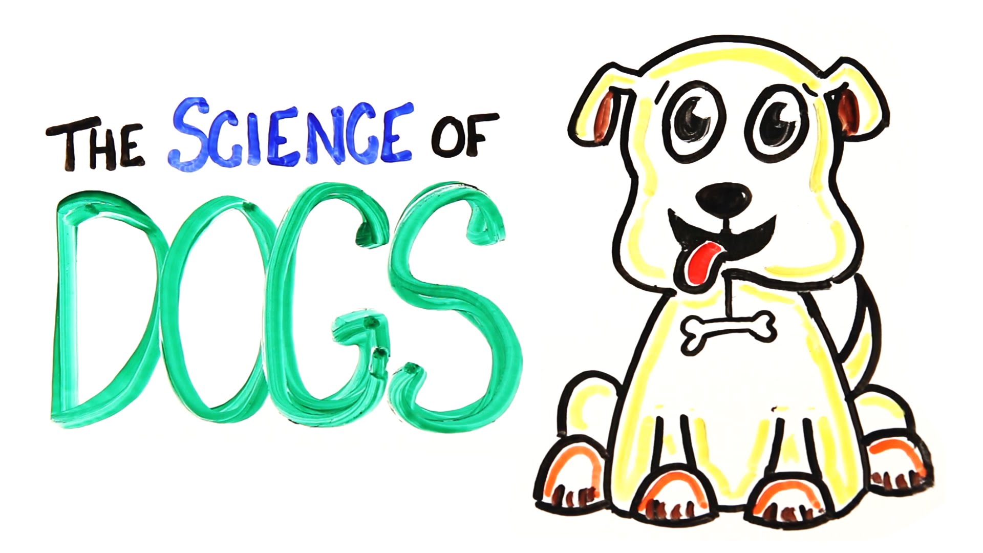 Nice wallpapers Science Dog 1920x1080px