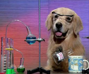 Science Dog #9