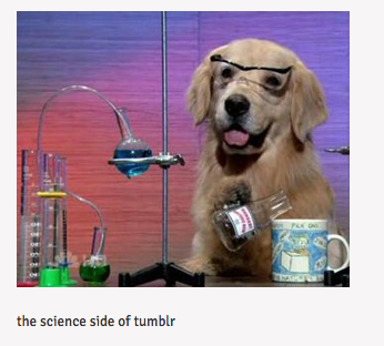 Science Dog #7