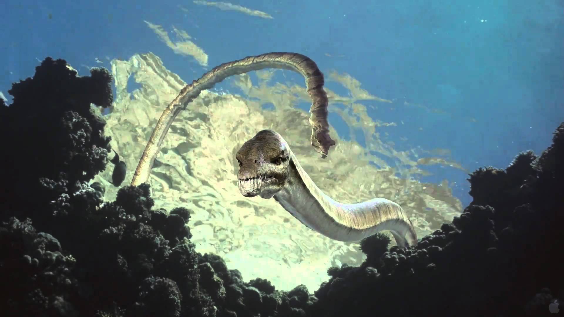 Sea Rex 3d: Journey To A Prehistoric World  #3