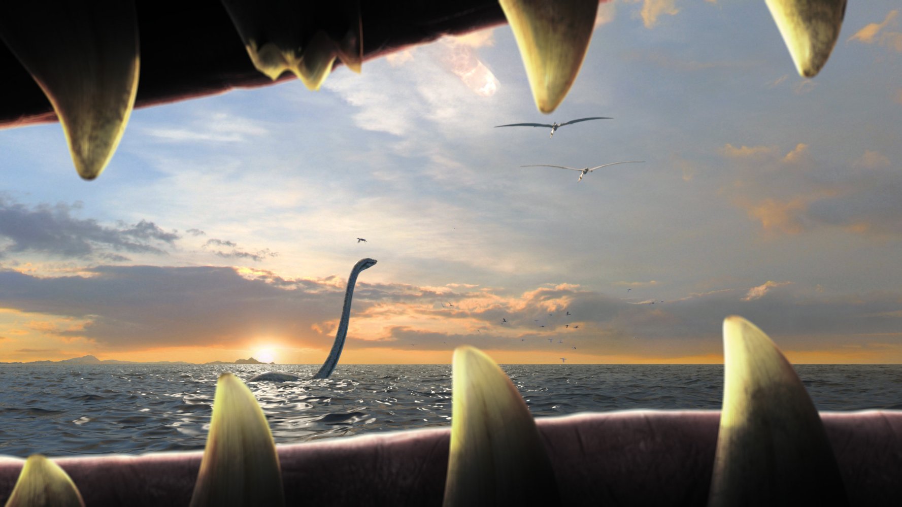 HD Quality Wallpaper | Collection: Movie, 1777x999 Sea Rex 3d: Journey To A Prehistoric World 