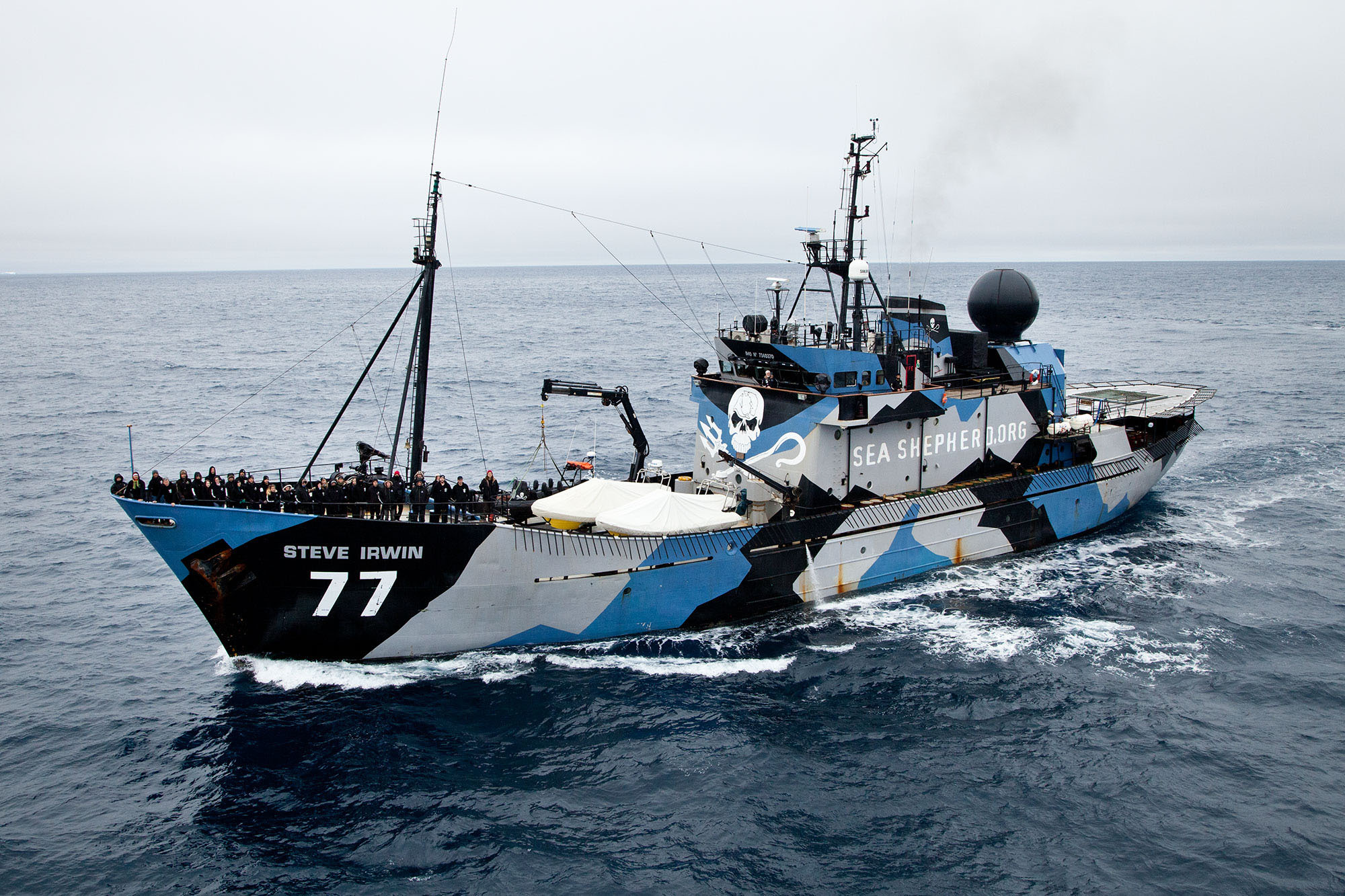 Sea Shepherd #2