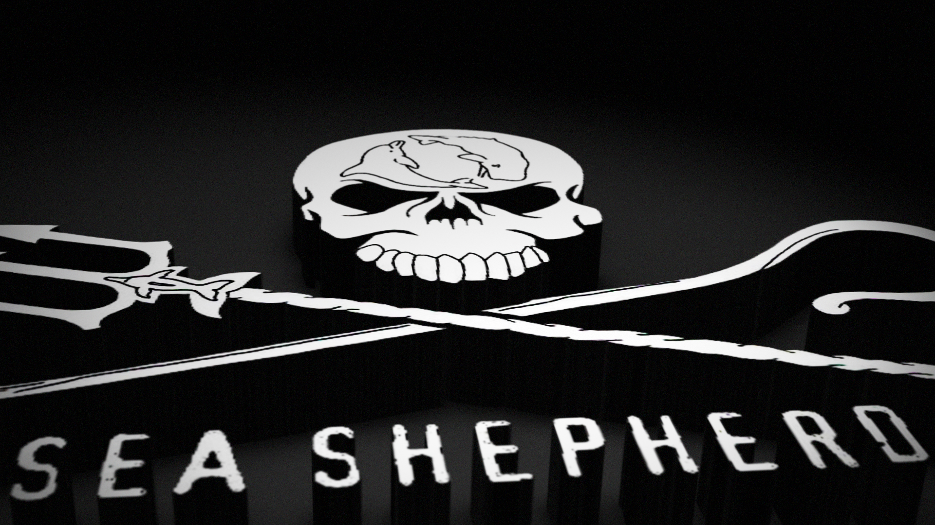 Sea Shepherd #5