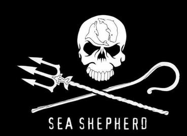Nice wallpapers Sea Shepherd 369x269px