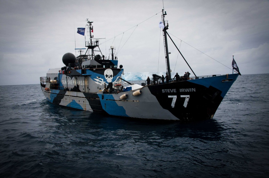 Amazing Sea Shepherd Pictures & Backgrounds