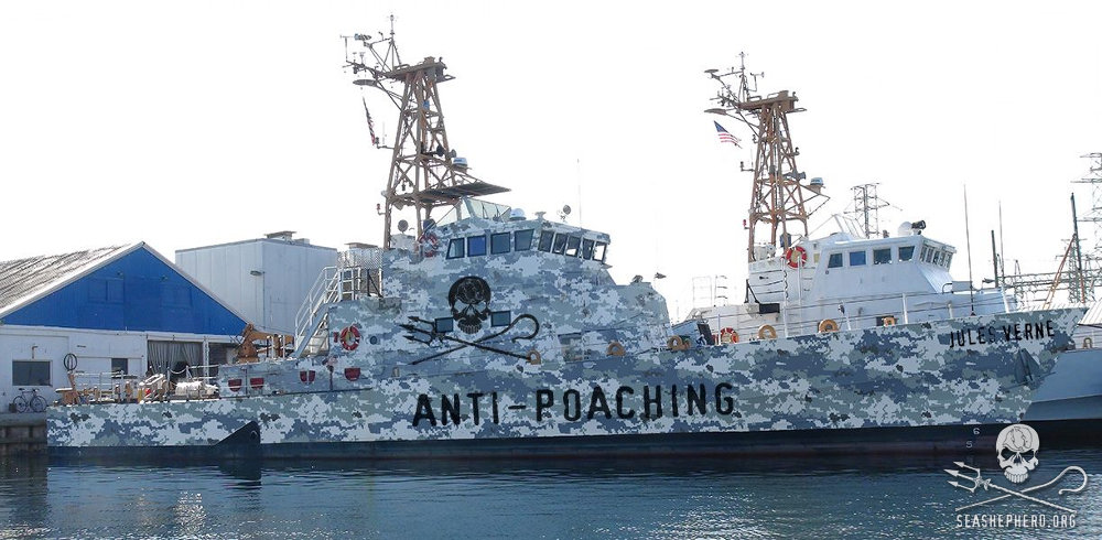 1000x490 > Sea Shepherd Wallpapers