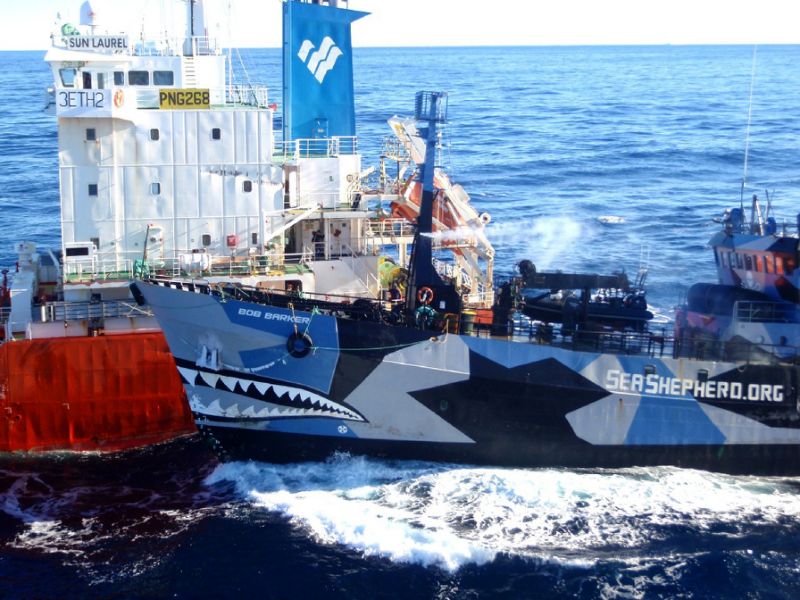 HQ Sea Shepherd Wallpapers | File 100.26Kb