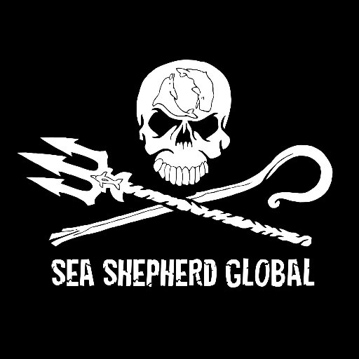 Sea Shepherd #17