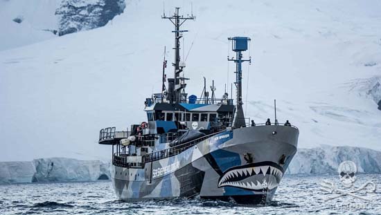 Sea Shepherd Pics, Man Made Collection