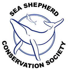 Sea Shepherd #13