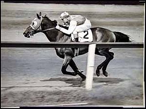 Images of Seabiscuit | 300x225
