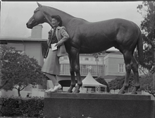 Seabiscuit Pics, Movie Collection