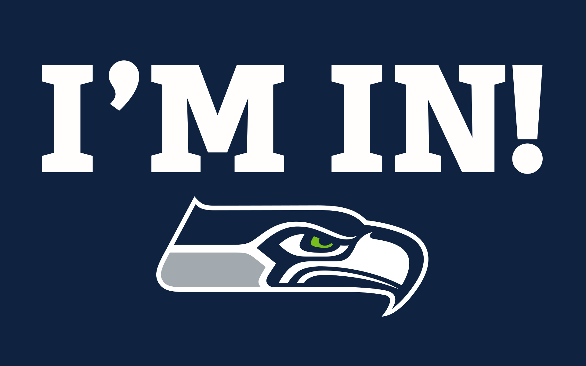 Nice wallpapers Seattle Seahawks 1920x1200px