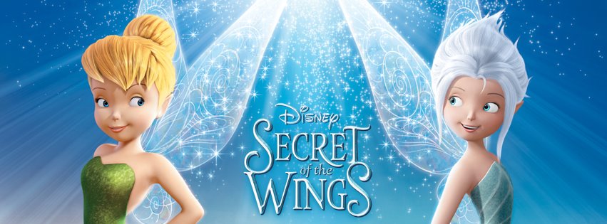 High Resolution Wallpaper | Secret Of The Wings 851x315 px