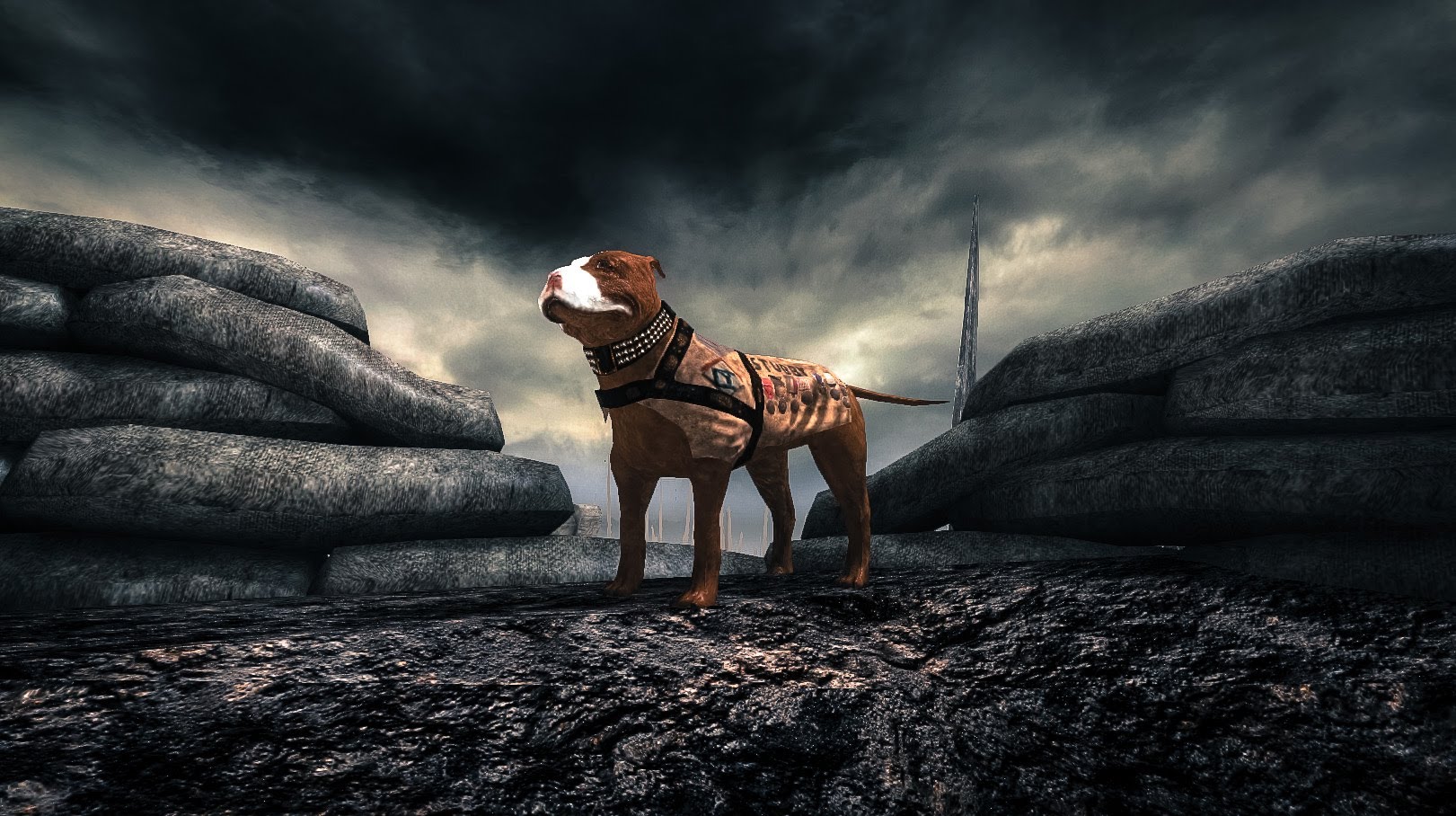 Nice Images Collection: Sergeant Stubby Desktop Wallpapers