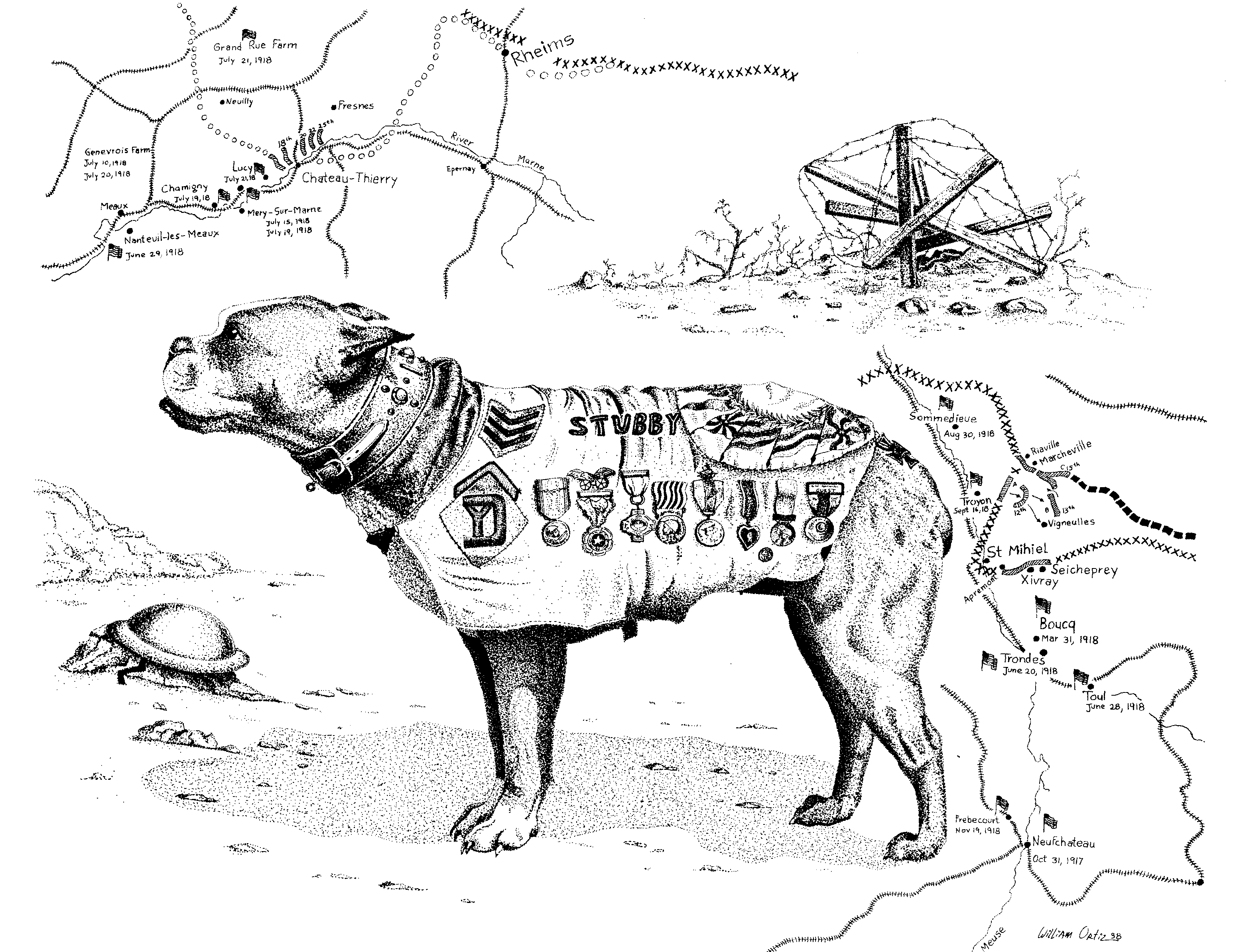 3102x2388 > Sergeant Stubby Wallpapers