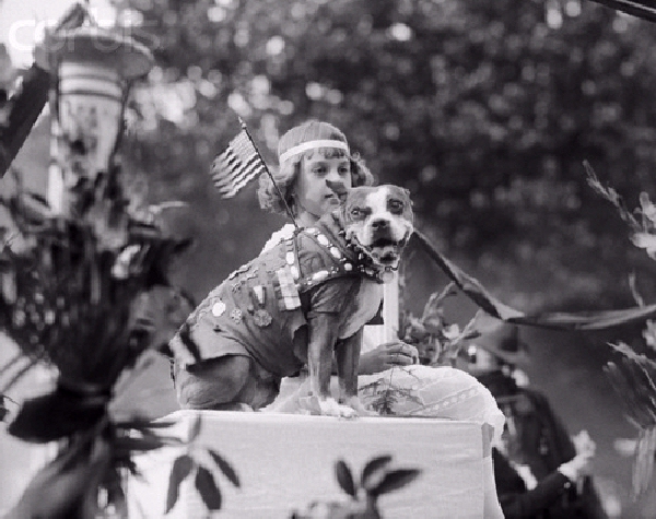 Nice wallpapers Sergeant Stubby 600x475px