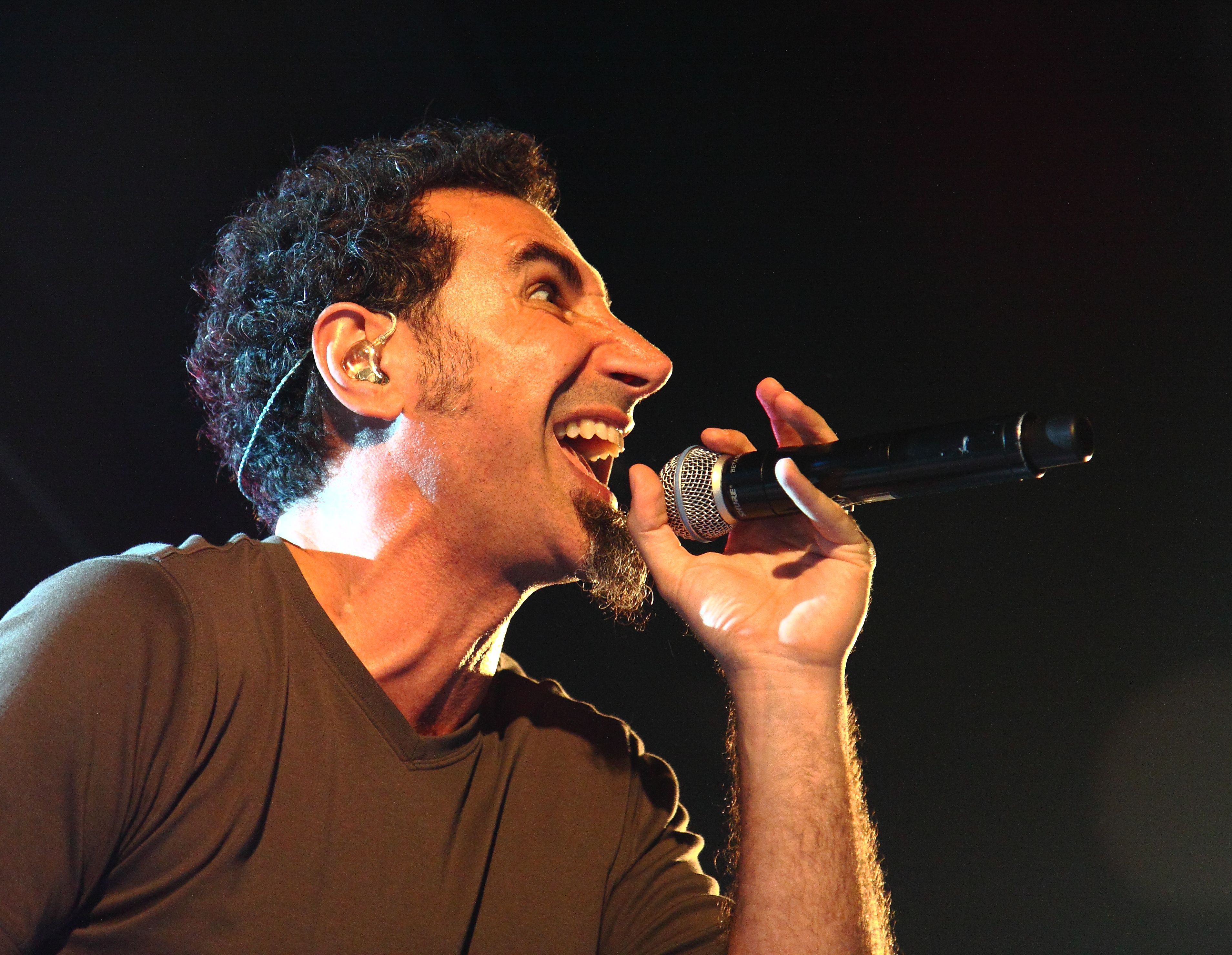 Serj Tankian #10