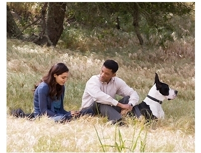 400x305 > Seven Pounds Wallpapers