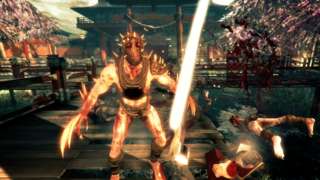 HD Quality Wallpaper | Collection: Video Game, 320x180 Shadow Warrior