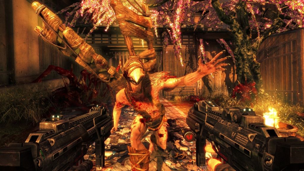 Amazing Shadow Warrior Pictures & Backgrounds