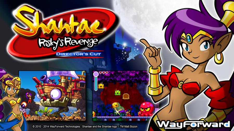 Nice wallpapers Shantae: Risky's Revenge 900x506px