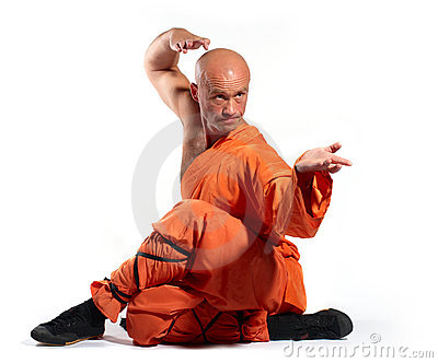 Shaolin #8