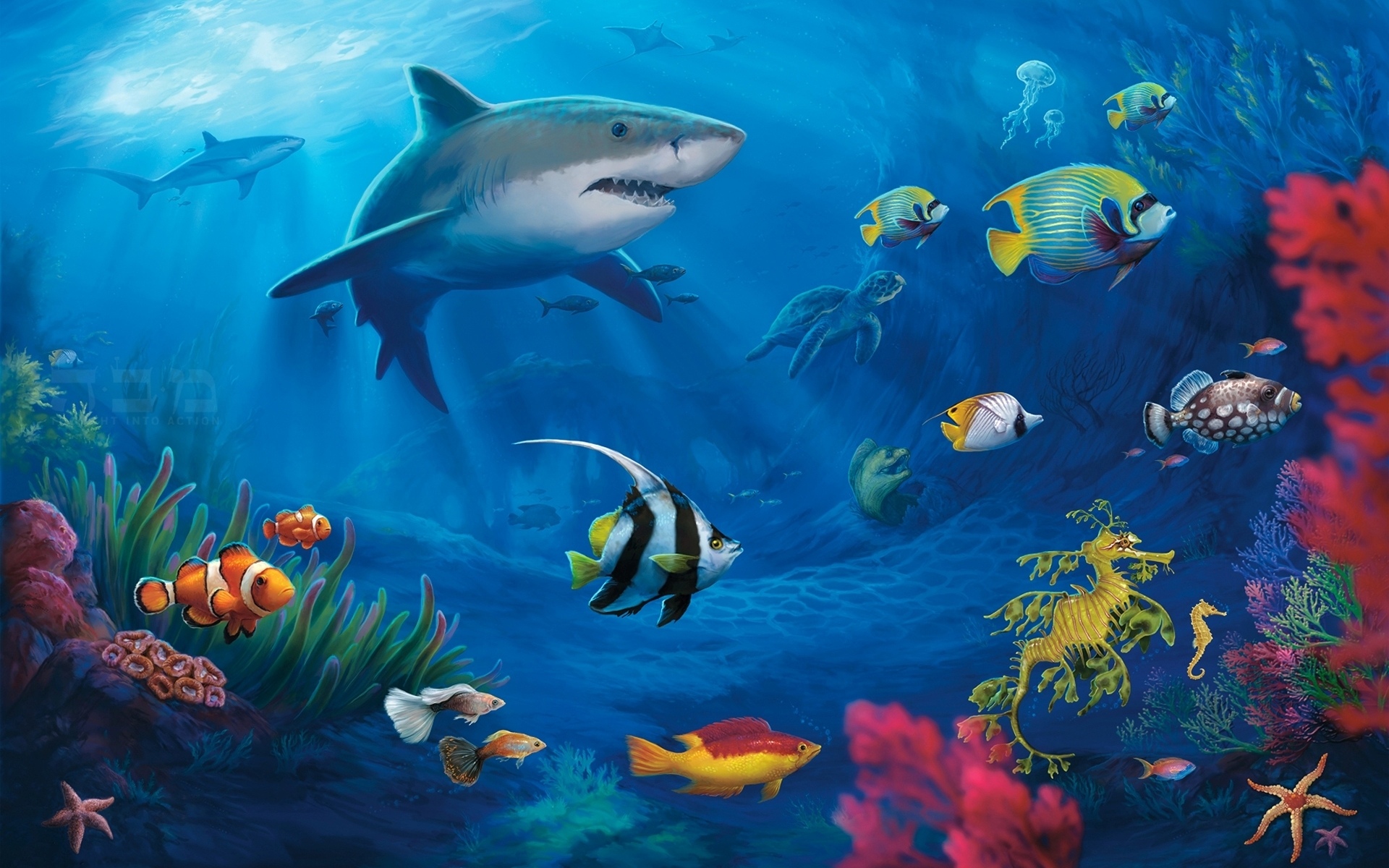 HD Quality Wallpaper | Collection: Animal, 1920x1200 Shark Fin Guitarfish