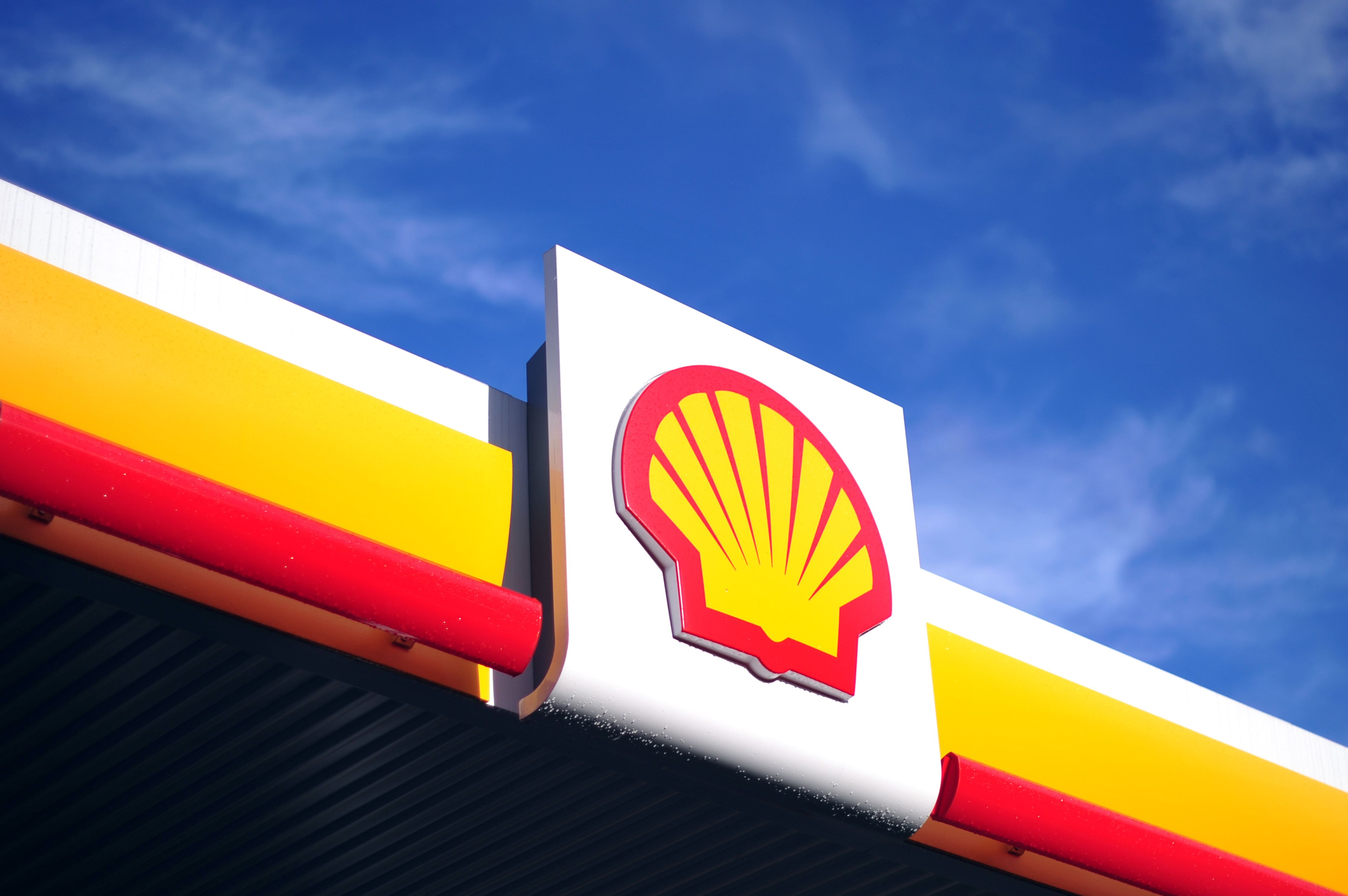 Shell Backgrounds, Compatible - PC, Mobile, Gadgets| 4457x2965 px