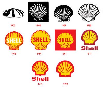 Shell High Quality Background on Wallpapers Vista