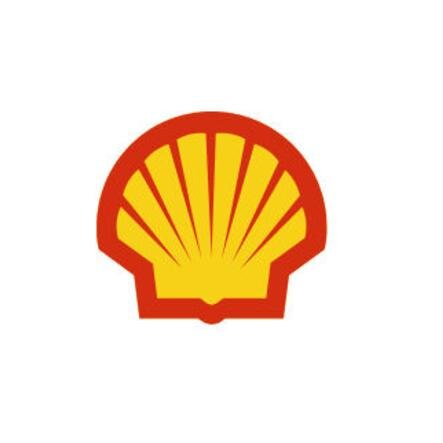 Shell Backgrounds, Compatible - PC, Mobile, Gadgets| 443x443 px