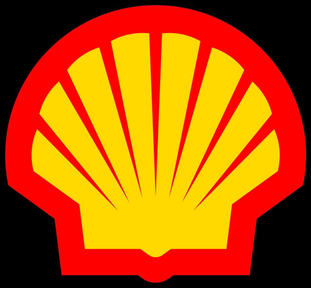 Shell Backgrounds, Compatible - PC, Mobile, Gadgets| 1023x950 px