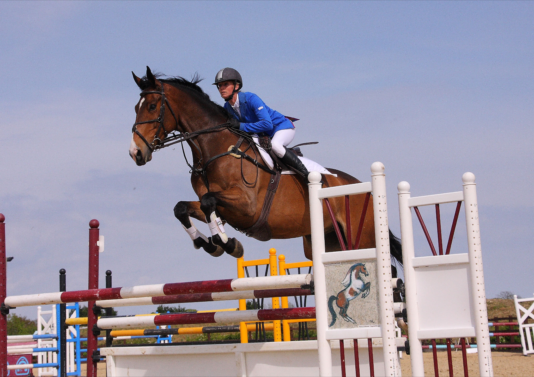 Show Jumping #7