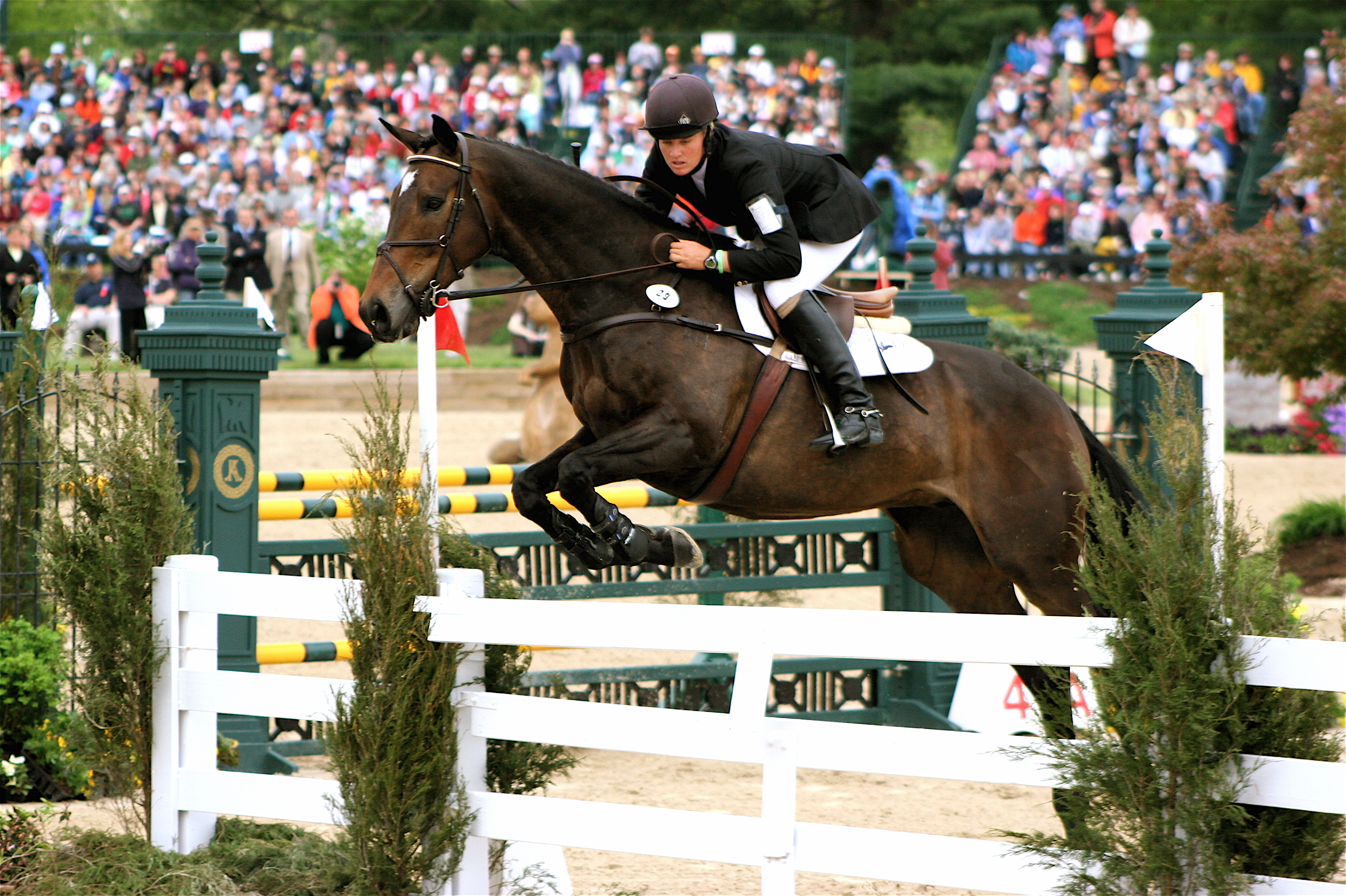Amazing Show Jumping Pictures & Backgrounds