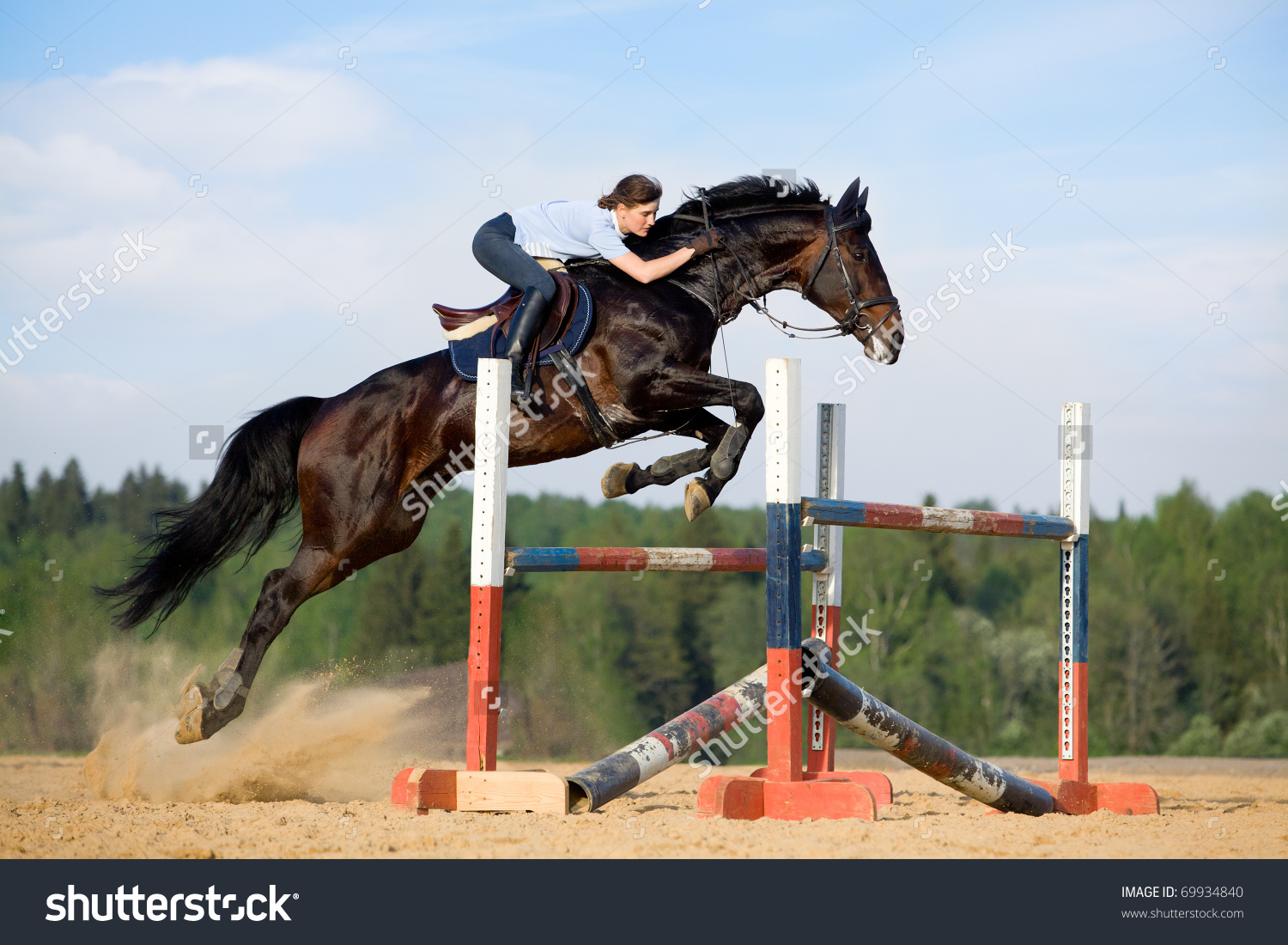 Show Jumping Pics, Sports Collection