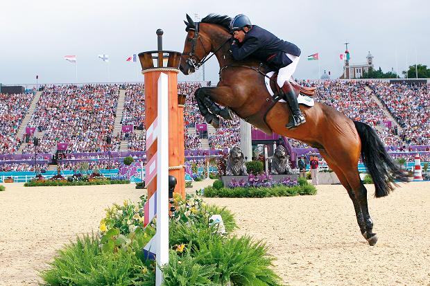 Show Jumping Backgrounds, Compatible - PC, Mobile, Gadgets| 620x413 px